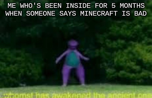 Whom | ME WHO'S BEEN INSIDE FOR 5 MONTHS WHEN SOMEONE SAYS MINECRAFT IS BAD | image tagged in whom'st has awakened the ancient one | made w/ Imgflip meme maker