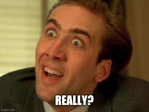 Nicolas cage | REALLY? | image tagged in nicolas cage | made w/ Imgflip meme maker