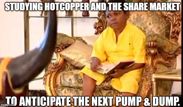 Share market, stock | STUDYING HOTCOPPER AND THE SHARE MARKET | image tagged in pump and dump | made w/ Imgflip meme maker