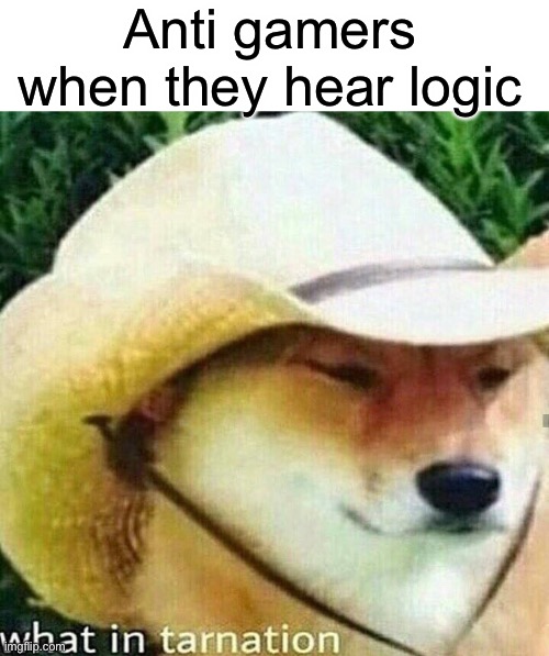 Anti gamers when they hear logic | image tagged in blank white template,what in tarnation dog | made w/ Imgflip meme maker