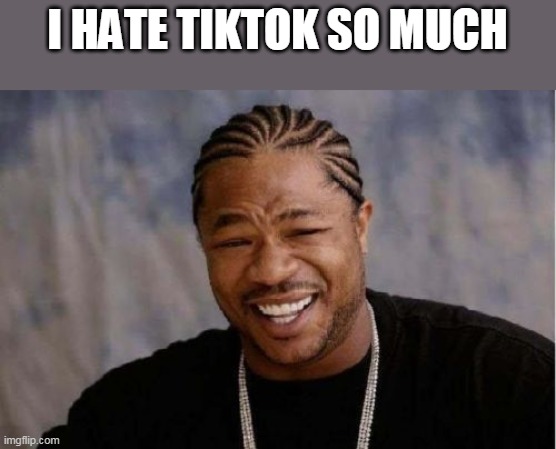 Hate tiktok | I HATE TIKTOK SO MUCH | image tagged in memes,yo dawg heard you | made w/ Imgflip meme maker