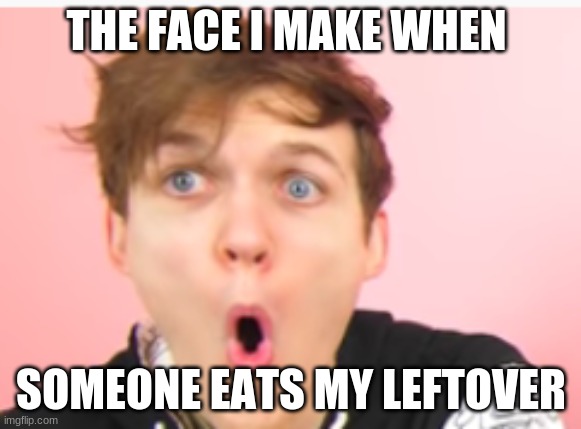true tho | THE FACE I MAKE WHEN; SOMEONE EATS MY LEFTOVER | image tagged in funny | made w/ Imgflip meme maker