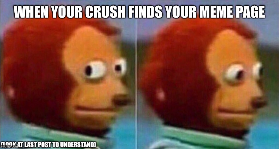 Whoops | WHEN YOUR CRUSH FINDS YOUR MEME PAGE; (LOOK AT LAST POST TO UNDERSTAND) | image tagged in monkey looking away,crush,memes,funny,scared,whoops | made w/ Imgflip meme maker