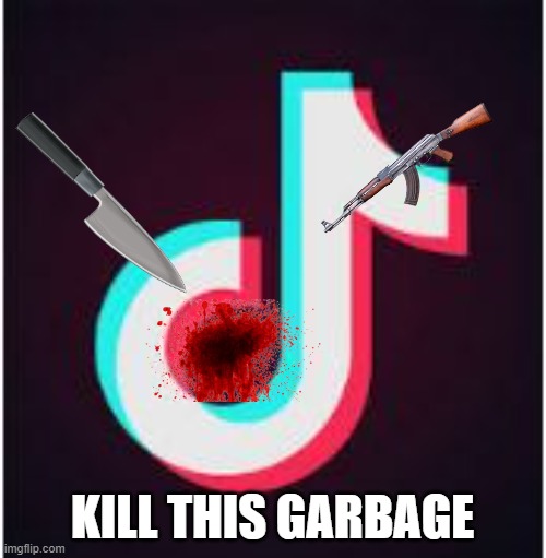 Tik Tok | KILL THIS GARBAGE | image tagged in tik tok | made w/ Imgflip meme maker