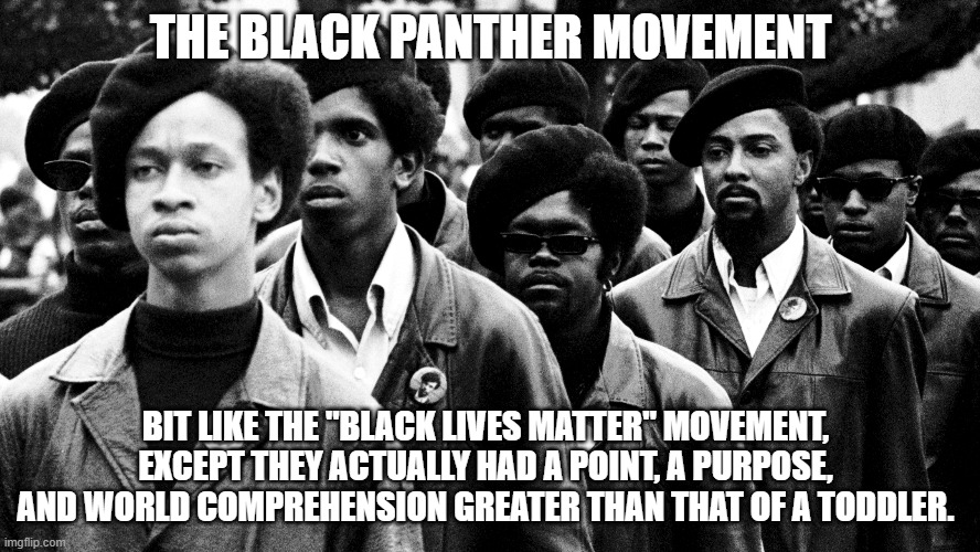 Sorting out the heroes from the also rans | THE BLACK PANTHER MOVEMENT; BIT LIKE THE "BLACK LIVES MATTER" MOVEMENT, EXCEPT THEY ACTUALLY HAD A POINT, A PURPOSE, AND WORLD COMPREHENSION GREATER THAN THAT OF A TODDLER. | image tagged in blm,black panthers,historical value | made w/ Imgflip meme maker