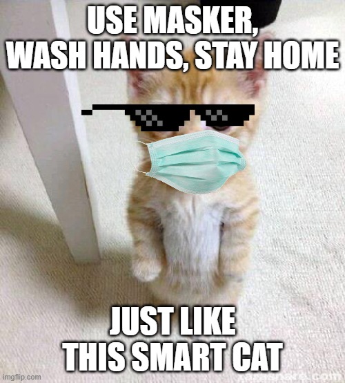 Stay home masker cat | USE MASKER, WASH HANDS, STAY HOME; JUST LIKE THIS SMART CAT | image tagged in memes,cute cat | made w/ Imgflip meme maker