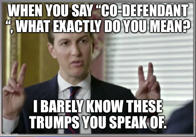 Qualified | WHEN YOU SAY “CO-DEFENDANT “, WHAT EXACTLY DO YOU MEAN? I BARELY KNOW THESE TRUMPS YOU SPEAK OF. | image tagged in qualified | made w/ Imgflip meme maker