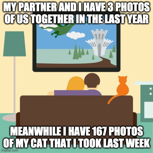 couch couple | MY PARTNER AND I HAVE 3 PHOTOS OF US TOGETHER IN THE LAST YEAR; MEANWHILE I HAVE 167 PHOTOS OF MY CAT THAT I TOOK LAST WEEK | image tagged in couch couple,cats,photography | made w/ Imgflip meme maker