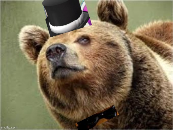 Smug Bear Meme | image tagged in memes,smug bear | made w/ Imgflip meme maker