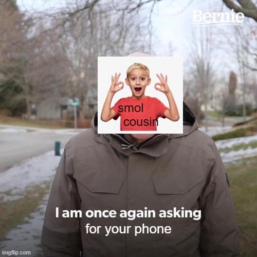 Bernie I Am Once Again Asking For Your Support Meme | smol       cousin; for your phone | image tagged in memes,bernie i am once again asking for your support | made w/ Imgflip meme maker