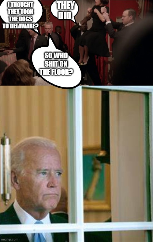 Joe Biden | THEY DID; I THOUGHT THEY TOOK THE DOGS TO DELAWARE? SO WHO SHIT ON THE FLOOR? | image tagged in joe biden | made w/ Imgflip meme maker
