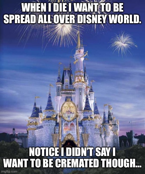 Death at Disney | WHEN I DIE I WANT TO BE SPREAD ALL OVER DISNEY WORLD. NOTICE I DIDN’T SAY I WANT TO BE CREMATED THOUGH... | image tagged in disney | made w/ Imgflip meme maker