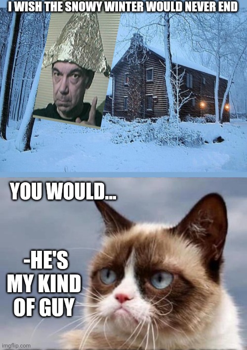 Snowy winter | I WISH THE SNOWY WINTER WOULD NEVER END; YOU WOULD... -HE'S MY KIND OF GUY | image tagged in snowflakes,grumpy cat happy | made w/ Imgflip meme maker