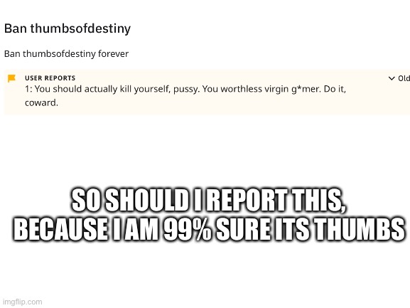Report | SO SHOULD I REPORT THIS, BECAUSE I AM 99% SURE ITS THUMBS | image tagged in blank white template | made w/ Imgflip meme maker