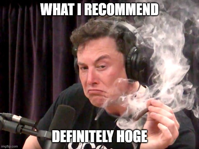 Elon Musk Weed | WHAT I RECOMMEND; DEFINITELY HOGE | image tagged in elon musk weed | made w/ Imgflip meme maker