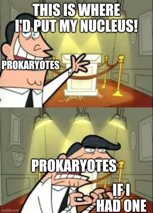 haha science go brrrr | THIS IS WHERE I'D PUT MY NUCLEUS! PROKARYOTES; PROKARYOTES; IF I HAD ONE | image tagged in memes,this is where i'd put my trophy if i had one,science | made w/ Imgflip meme maker