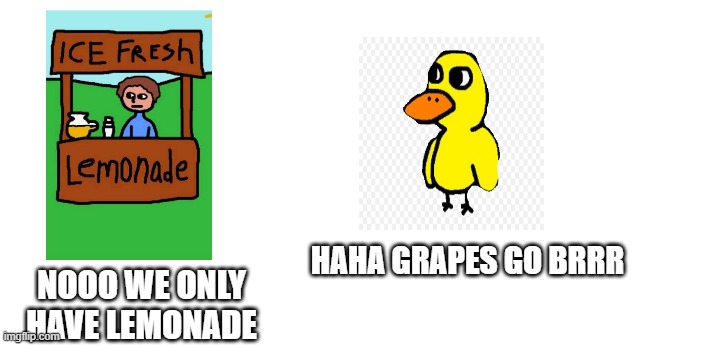 free epic push pops | HAHA GRAPES GO BRRR; NOOO WE ONLY HAVE LEMONADE | image tagged in nooo haha go brrr | made w/ Imgflip meme maker