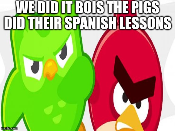 we did it | WE DID IT BOIS THE PIGS DID THEIR SPANISH LESSONS | made w/ Imgflip meme maker