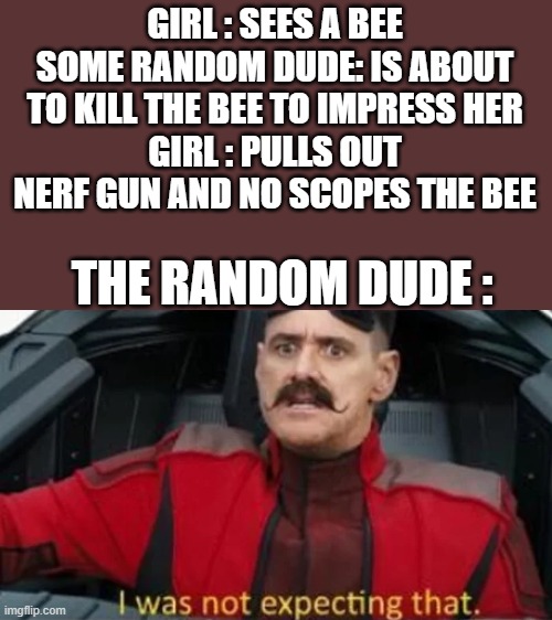 ha | GIRL : SEES A BEE
SOME RANDOM DUDE: IS ABOUT TO KILL THE BEE TO IMPRESS HER
GIRL : PULLS OUT NERF GUN AND NO SCOPES THE BEE; THE RANDOM DUDE : | image tagged in i was not expecting that | made w/ Imgflip meme maker