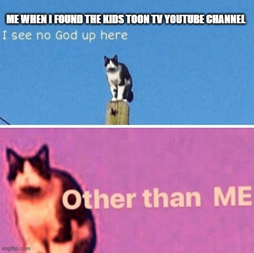 I can find banned YouTube channels | ME WHEN I FOUND THE KIDS TOON TV YOUTUBE CHANNEL | image tagged in hail pole cat,kids toon tv,youtube kids | made w/ Imgflip meme maker