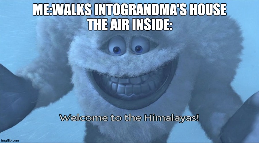 Welcome to the himalayas | ME:WALKS INTOGRANDMA'S HOUSE
THE AIR INSIDE: | image tagged in welcome to the himalayas | made w/ Imgflip meme maker