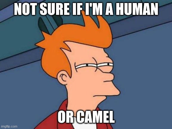 Not Sure What I am | NOT SURE IF I'M A HUMAN; OR CAMEL | image tagged in memes,futurama fry | made w/ Imgflip meme maker