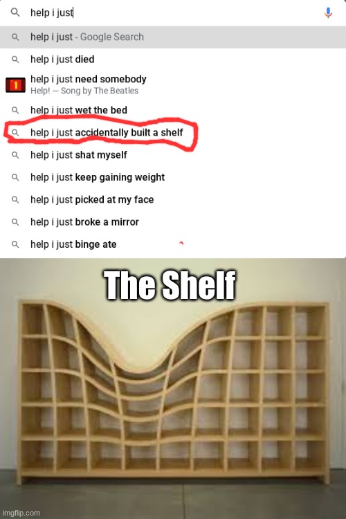 Shelf | The Shelf | image tagged in funny,memes | made w/ Imgflip meme maker