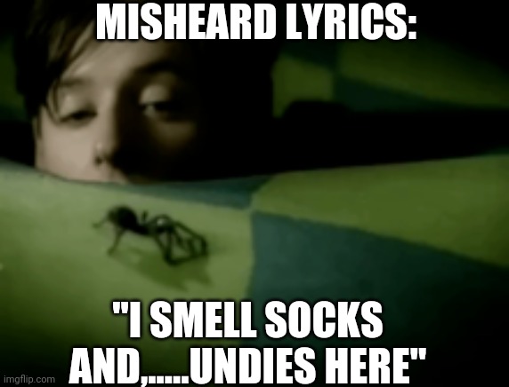 MISHEARD LYRICS:; "I SMELL SOCKS AND,.....UNDIES HERE" | image tagged in funny memes | made w/ Imgflip meme maker
