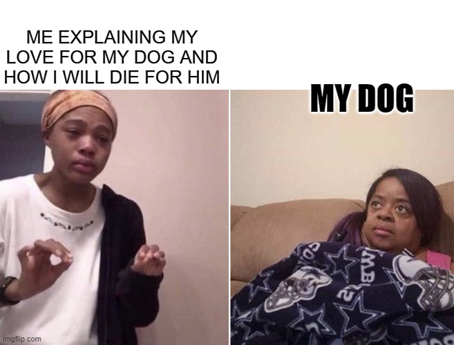 Me explaining to my mom | ME EXPLAINING MY LOVE FOR MY DOG AND HOW I WILL DIE FOR HIM; MY DOG | image tagged in me explaining to my mom | made w/ Imgflip meme maker