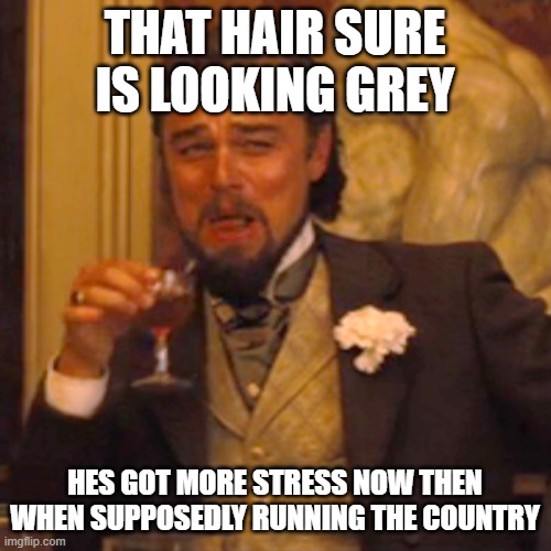 Laughing Leo Meme | THAT HAIR SURE IS LOOKING GREY HES GOT MORE STRESS NOW THEN WHEN SUPPOSEDLY RUNNING THE COUNTRY | image tagged in memes,laughing leo | made w/ Imgflip meme maker