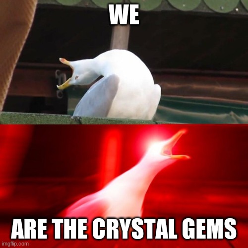 BOY seagull | WE ARE THE CRYSTAL GEMS | image tagged in boy seagull | made w/ Imgflip meme maker