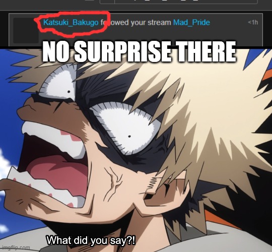 Just welcoming the new member xD | NO SURPRISE THERE | image tagged in bakugo's what did you say,bakugo,my hero academia,mad,mad pride,crazy | made w/ Imgflip meme maker
