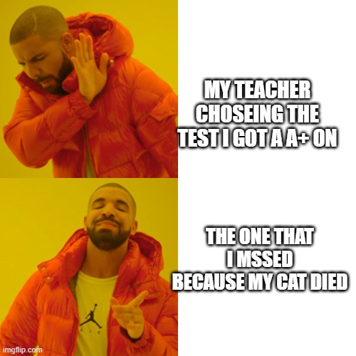 Drake Hotline Bling Meme | MY TEACHER CHOSEING THE TEST I GOT A A+ ON; THE ONE THAT I MSSED BECAUSE MY CAT DIED | image tagged in memes,drake hotline bling | made w/ Imgflip meme maker