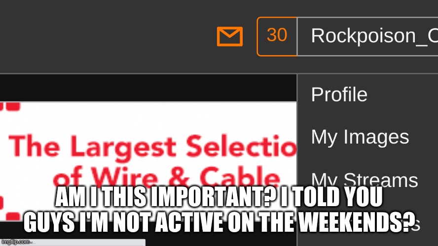 i told you guys i'm not here on the weekends and you blew my notifications up | AM I THIS IMPORTANT? I TOLD YOU GUYS I'M NOT ACTIVE ON THE WEEKENDS? | made w/ Imgflip meme maker