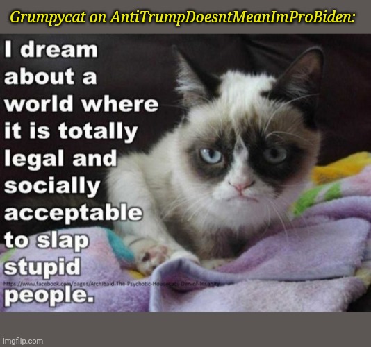 Grumpycat on AntiTrumpDoesntMeanImProBiden: | made w/ Imgflip meme maker