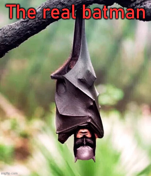 The real batman | image tagged in superheroes | made w/ Imgflip meme maker