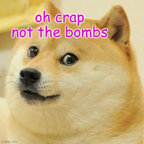 Doge Meme | oh crap not the bombs | image tagged in memes,doge | made w/ Imgflip meme maker