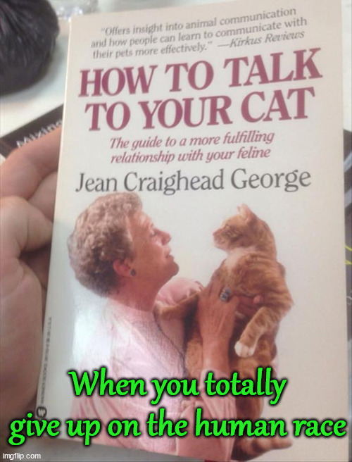 When you think you are forever alone. |  When you totally give up on the human race | image tagged in cats,forever alone,books | made w/ Imgflip meme maker