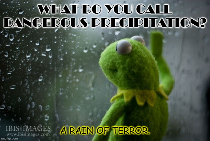 Daily Bad Dad Joke March 15 2021 | WHAT DO YOU CALL DANGEROUS PRECIPITATION? A RAIN OF TERROR. | image tagged in kermit window | made w/ Imgflip meme maker