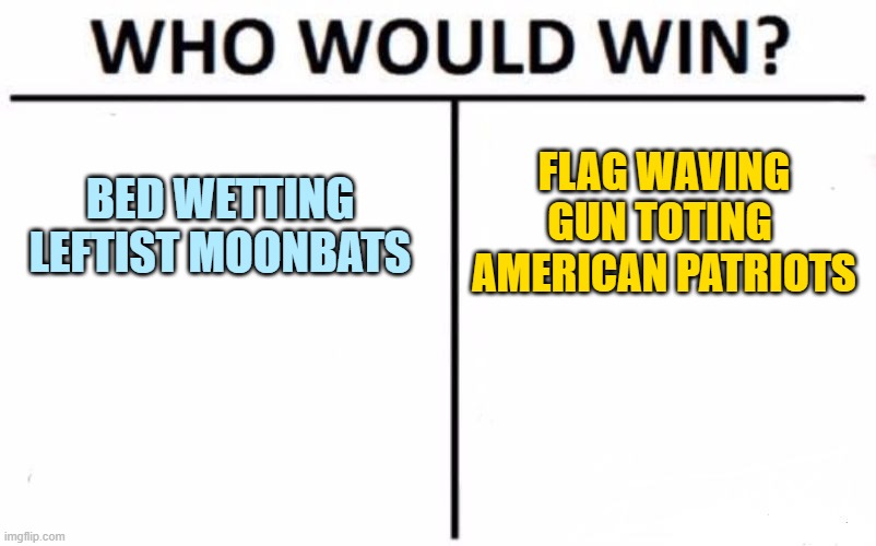 Put your money on Americans, not on Marxists. | BED WETTING LEFTIST MOONBATS; FLAG WAVING
GUN TOTING 
AMERICAN PATRIOTS | image tagged in memes,who would win | made w/ Imgflip meme maker