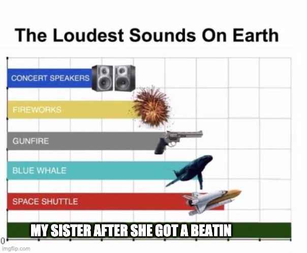 The loudest sounds on earth | MY SISTER AFTER SHE GOT A BEATIN | image tagged in the loudest sounds on earth | made w/ Imgflip meme maker