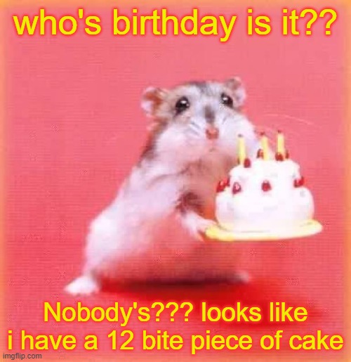 first meme down and 492 to go | who's birthday is it?? Nobody's??? looks like i have a 12 bite piece of cake | image tagged in birthday hamster | made w/ Imgflip meme maker