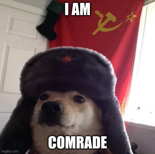Russian Doge | I AM; COMRADE | image tagged in russian doge | made w/ Imgflip meme maker