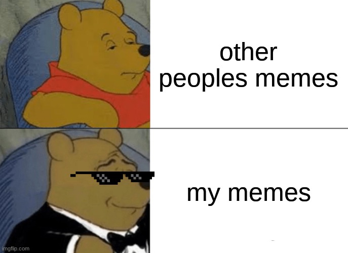 I like my memes | other peoples memes; my memes | image tagged in memes,tuxedo winnie the pooh | made w/ Imgflip meme maker