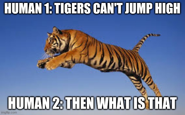  HUMAN 1: TIGERS CAN'T JUMP HIGH; HUMAN 2: THEN WHAT IS THAT | image tagged in memes,tiger | made w/ Imgflip meme maker