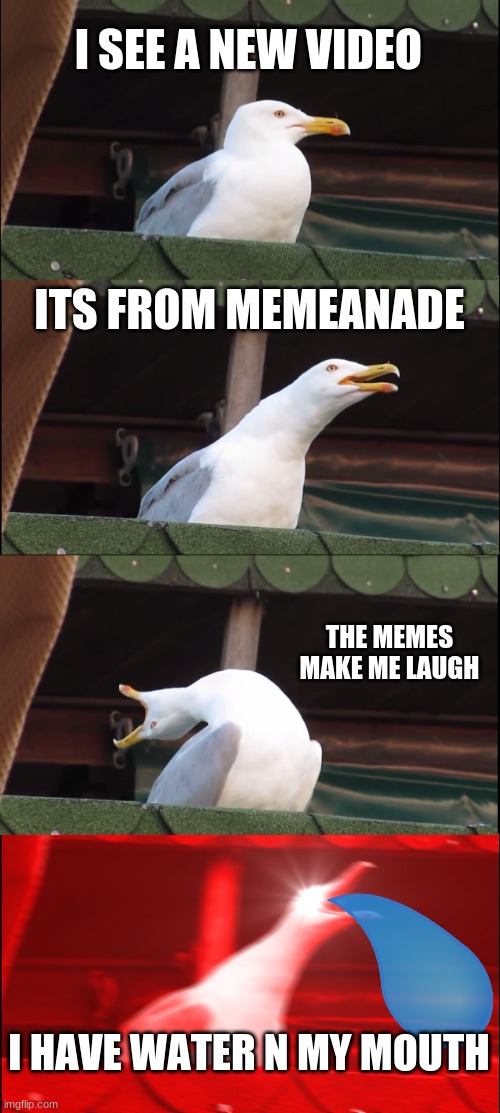 Inhaling Seagull | I SEE A NEW VIDEO; ITS FROM MEMEANADE; THE MEMES MAKE ME LAUGH; I HAVE WATER N MY MOUTH | image tagged in memes,inhaling seagull | made w/ Imgflip meme maker