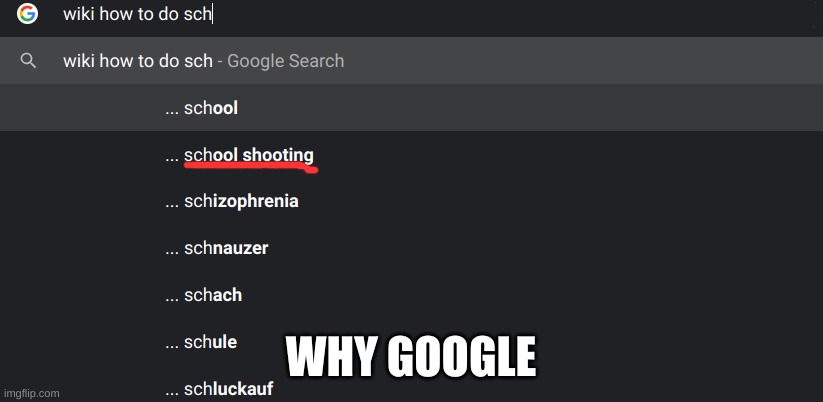 WHY GOOGLE | image tagged in wisdom | made w/ Imgflip meme maker
