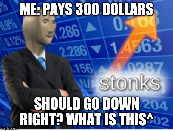 Stoinks |  ME: PAYS 300 DOLLARS; SHOULD GO DOWN RIGHT? WHAT IS THIS^ | image tagged in stoinks | made w/ Imgflip meme maker
