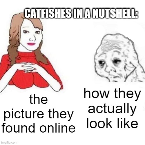 Yes Honey | CATFISHES IN A NUTSHELL:; how they actually look like; the picture they found online | image tagged in yes honey | made w/ Imgflip meme maker