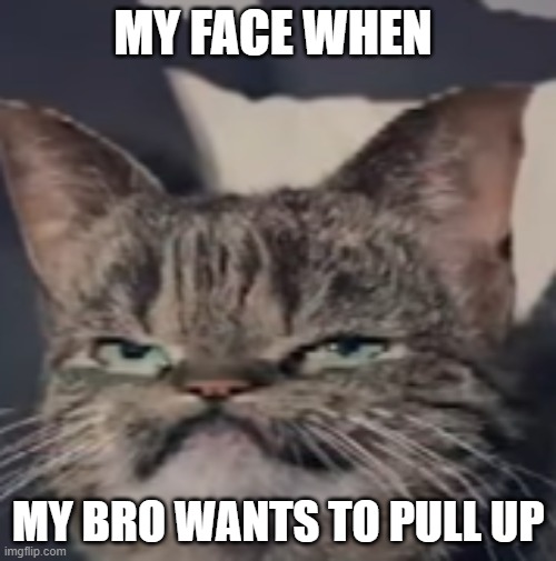 MY FACE WHEN; MY BRO WANTS TO PULL UP | image tagged in fight,siblings | made w/ Imgflip meme maker